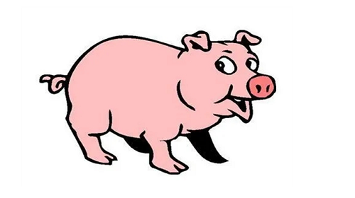 猪年是哪几年 猪年是什么命