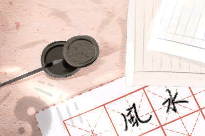 办公室合适摆放的十大植物 棕竹摆办公室可辟邪化煞