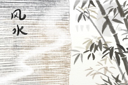 领导办公室放什么植物风水好 万年青可催旺工作运