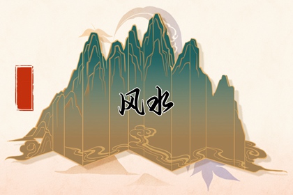 办公室最旺财的十莳花 散尾葵摆办公室旺财气