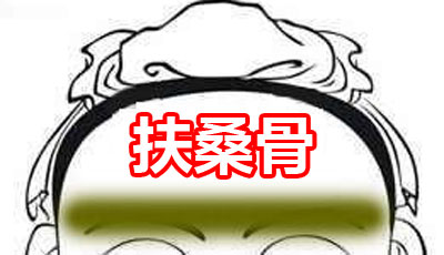 骨相大全——扶桑骨