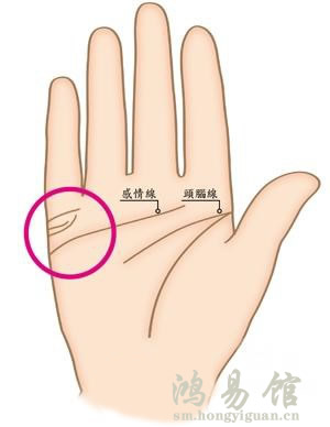 旺夫相女人手相特征 女性旺夫手是怎么样的