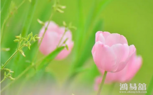 b型血女人的性格特点 B型血女生性格解析