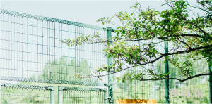 b型血女人的性格特点 B型血女生性格解析