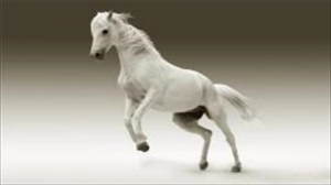 b型血女人的性格特点 B型血女生性格解析