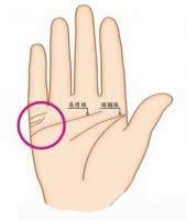 婚姻线是哪一条怎么看 婚姻线详解