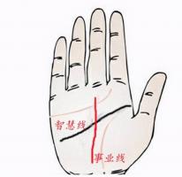 智慧线是哪一条怎么看 智慧线详解