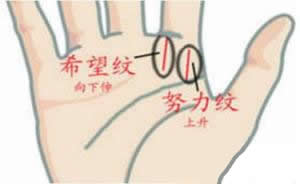 希望线怎么看 希望线详解