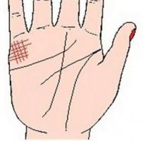 手相婚姻线图解：婚姻线异长杂乱