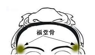 骨相大全—福堂骨