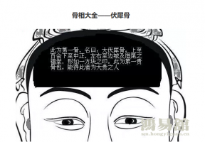 骨相大全—伏犀骨