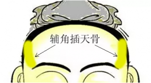 骨相大全-辅角插天骨