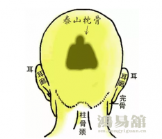 骨相大全—泰山枕骨