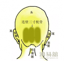 骨相大全—连璧三寸枕骨