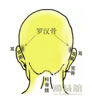 骨相大全—罗汉骨