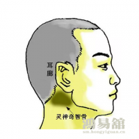 骨相大全—灵神奇智骨