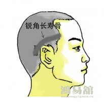 骨相大全—锐角长寿骨