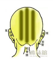 骨相大全—川字骨