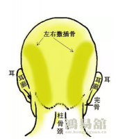 骨相大全—左右撒插骨