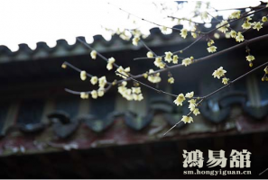 破除太岁侵扰，这5个生肖2023年要化化化