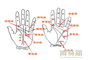 手相图解手相男怎么看?