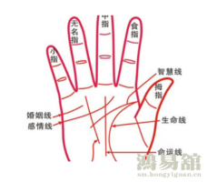 掌纹图解女右手详解 