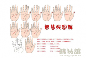 智慧线图解 手相智慧线图解