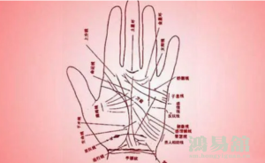 男生左手三条线图解 男生左手三条线图解大全
