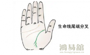 生命线事业线爱情线怎么看(一)