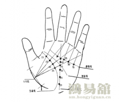 看手相算命图解 女性右手