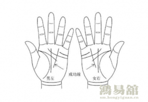 成功线是哪一条 成功线图解男