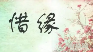 寡妇年和本命年哪个结婚更不好