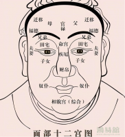教你怎么看面相：面相基础图解