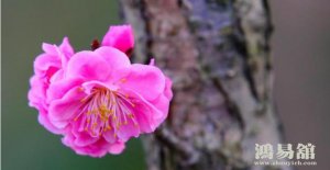 b型血女人的性格特点 B型血女生性格解析