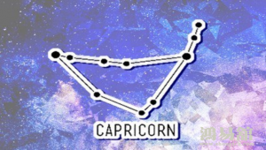 2024感情最好的星座 能脱单的星座