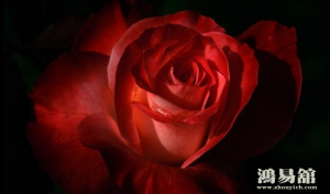 风水上招桃花旺姻缘的方法有哪些？