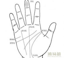手掌的婚姻线怎么看，手掌的三条线正确图解