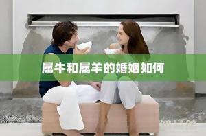 b型血女人的性格特点 B型血女生性格解析