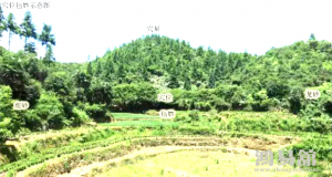 阴宅风水实例赏析