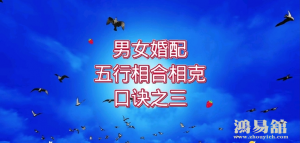 b型血女人的性格特点 B型血女生性格解析